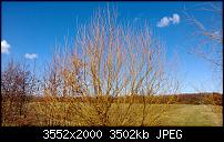 Nokia Lumia 920 - Fotoqualität-sw-vergleich-10-lumia-920-alte-software.jpg