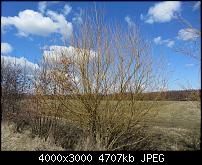 Nokia Lumia 920 - Fotoqualität-sw-vergleich-10-sx230-neue-software.jpg