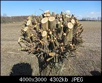 Nokia Lumia 920 - Fotoqualität-sw-vergleich-11-sx230-alte-software.jpg