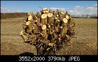 Nokia Lumia 920 - Fotoqualität-sw-vergleich-11-lumia-920-neue-software.jpg