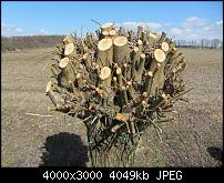 Nokia Lumia 920 - Fotoqualität-sw-vergleich-11-sx230-neue-software.jpg