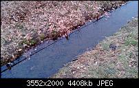 Nokia Lumia 920 - Fotoqualität-wp_20130330_004.jpg