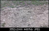 Nokia Lumia 920 - Fotoqualität-wp_20130406_048.jpg