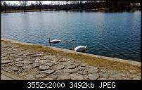 Nokia Lumia 920 - Fotoqualität-wp_20130407_002.jpg