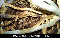 Nokia Lumia 920 - Fotoqualität-wp_20130411_013.jpg