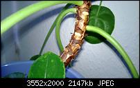 Nokia Lumia 920 - Fotoqualität-wp_20130411_017.jpg