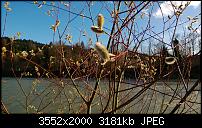 Nokia Lumia 920 - Fotoqualität-wp_20130413_015.jpg