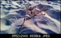 Nokia Lumia 920 - Fotoqualität-wp_20130413_049.jpg