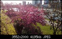 Nokia Lumia 920 - Fotoqualität-wp_20130413_009.jpg