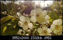 Nokia Lumia 920 - Fotoqualität-wp_20130425_031.jpg