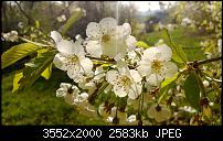 Nokia Lumia 920 - Fotoqualität-wp_20130425_030.jpg