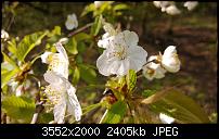 Nokia Lumia 920 - Fotoqualität-wp_20130425_033.jpg