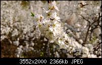 Nokia Lumia 920 - Fotoqualität-wp_20130425_014.jpg