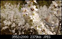 Nokia Lumia 920 - Fotoqualität-wp_20130425_015.jpg