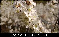 Nokia Lumia 920 - Fotoqualität-wp_20130425_016.jpg