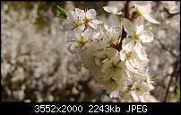 Nokia Lumia 920 - Fotoqualität-wp_20130425_017.jpg