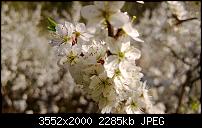 Nokia Lumia 920 - Fotoqualität-wp_20130425_018.jpg