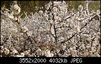 Nokia Lumia 920 - Fotoqualität-wp_20130425_021.jpg