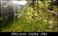 Nokia Lumia 920 - Fotoqualität-wp_20130425_040.jpg