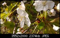 Nokia Lumia 920 - Fotoqualität-wp_20130425_034.jpg