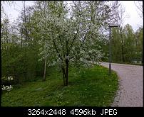 Nokia Lumia 920 - Fotoqualität-wp_20130503_051.jpg