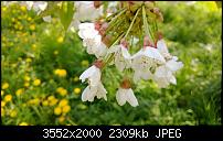 Nokia Lumia 920 - Fotoqualität-wp_20130505_033.jpg