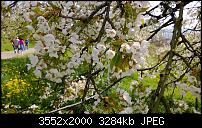 Nokia Lumia 920 - Fotoqualität-wp_20130505_032.jpg