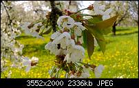 Nokia Lumia 920 - Fotoqualität-wp_20130505_030.jpg