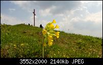 Nokia Lumia 920 - Fotoqualität-wp_20130505_007.jpg