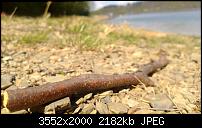 Nokia Lumia 920 - Fotoqualität-2013_05_05_15_20_49_proshot.jpg