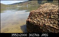 Nokia Lumia 920 - Fotoqualität-wp_20130505_012.jpg