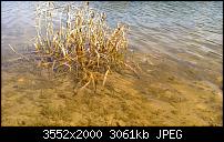 Nokia Lumia 920 - Fotoqualität-wp_20130505_018.jpg