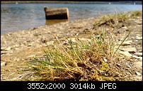 Nokia Lumia 920 - Fotoqualität-wp_20130505_021.jpg