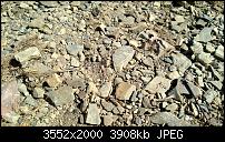 Nokia Lumia 920 - Fotoqualität-wp_20130505_024.jpg