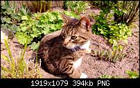 Nokia Lumia 920 - Fotoqualität-vlcsnap-2013-05-04-23h13m27s149.jpg