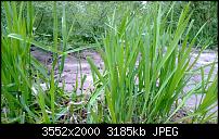 Nokia Lumia 920 - Fotoqualität-wp_20130509_010.jpg