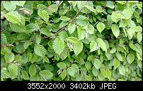 Nokia Lumia 920 - Fotoqualität-wp_20130509_003.jpg