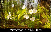 Nokia Lumia 920 - Fotoqualität-2013_05_05_17_29_07_proshot.jpg