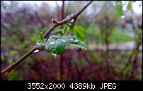 Nokia Lumia 920 - Fotoqualität-2013_04_27_10_46_12_proshot.jpg