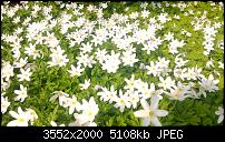 Nokia Lumia 920 - Fotoqualität-2013_04_26_16_20_30_proshot.jpg