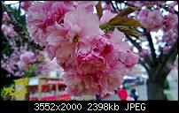 Nokia Lumia 920 - Fotoqualität-wp_20130502_032.jpg