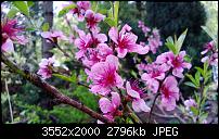 Nokia Lumia 920 - Fotoqualität-wp_20130503_006.jpg