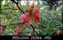 Nokia Lumia 920 - Fotoqualität-wp_20130503_014.jpg