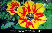 Nokia Lumia 920 - Fotoqualität-wp_20130503_017.jpg