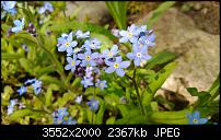 Nokia Lumia 920 - Fotoqualität-wp_20130503_021.jpg