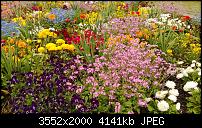 Nokia Lumia 920 - Fotoqualität-wp_20130511_041.jpg