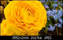 Nokia Lumia 920 - Fotoqualität-wp_20130511_043.jpg