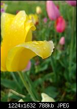 Nokia Lumia 920 - Fotoqualität-mako1-unbearbeitet.jpg