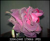 Nokia Lumia 920 - Fotoqualität-wp_000075.jpg