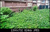 Nokia Lumia 920 - Fotoqualität-lumia-bearbeitet.jpg